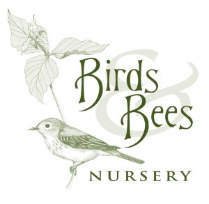Birds and Bees Nursery