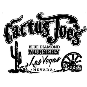 Cactus Joe_s Blue Diamond Nursery