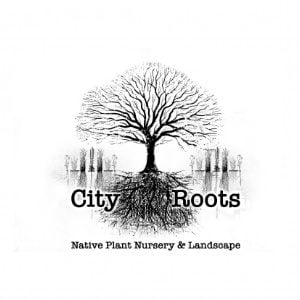 City Roots Nursery