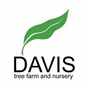 Davis Tree Farm _ Nursery