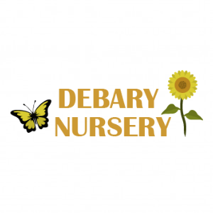 Debary Nursery