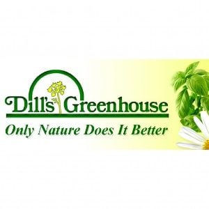 Dill_s Greenhouse