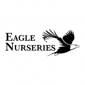Eagle Nurseries