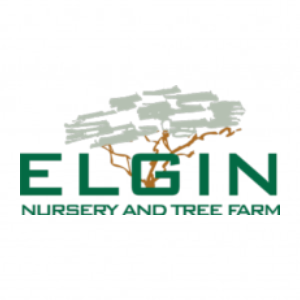 Elgin Nursery _ Tree Farm