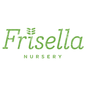 Frisella Nursery