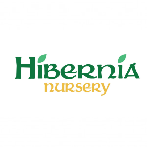 Hibernia Nursery