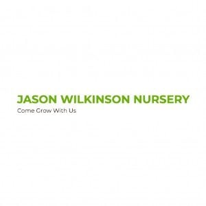 Jason Wilkinson Nursery