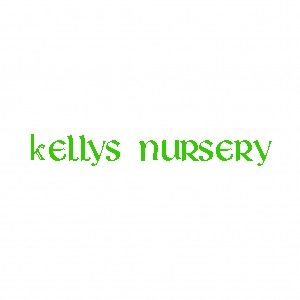 Kelly's Nursery