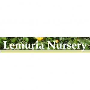 Lemuria Nursery