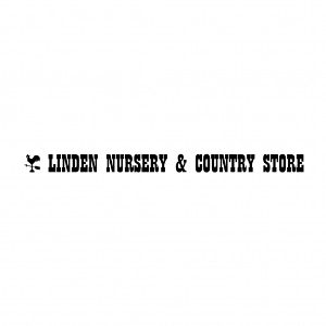 Linden Nursery