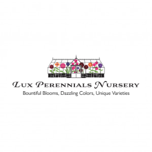 Lux Perennials Nursery