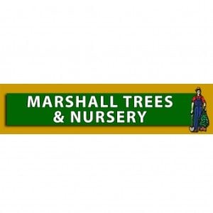 Marshall Trees and Nursery