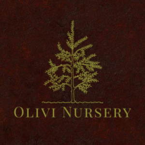 Olivi Nursery