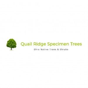 Quail Ridge Specimen Trees