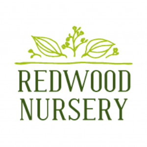 Redwood Nursery