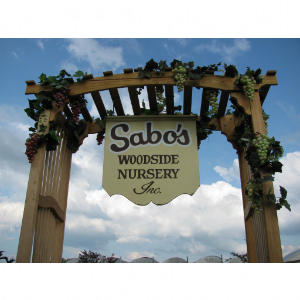 Sabo_s Woodside Nursery