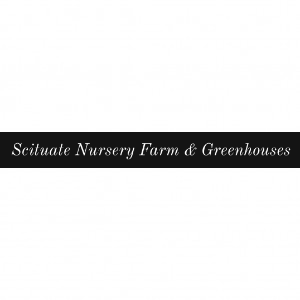 Scituate Nursery