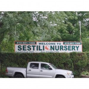 Sestili Nursery Inc.