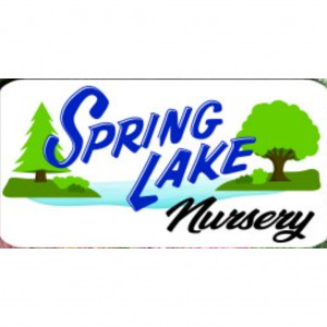 Springlake Nursery