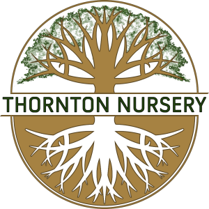 Thornton Nursery