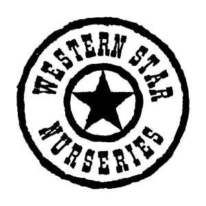 Western Star Nurserie