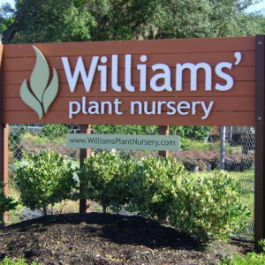 Williams Wholesale Plant Nursery