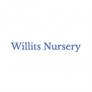 Willits Nursery