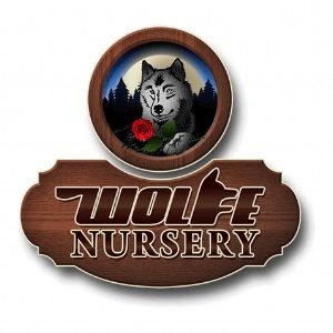 Wolfe Nursery