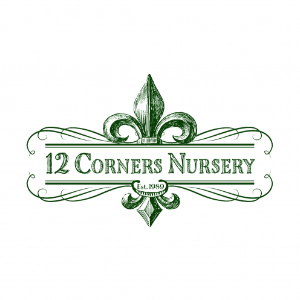 12 Corner Nursery