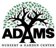 Adams Nursery _ Garden Center