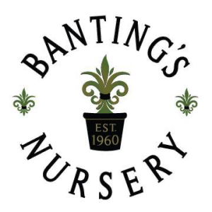 Banting_s Nursery