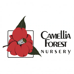 Camellia Forest Nursery