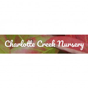 Charlotte Creek Nursery