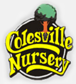 Colesville Nursery