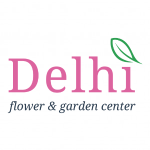 Delhi Flower _ Garden Center