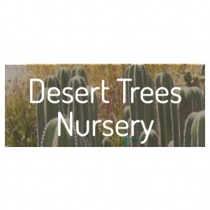 Desert Trees Nursery