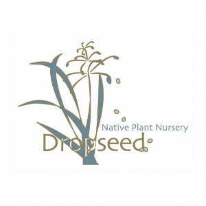 Dropseed Native Plant Nursery