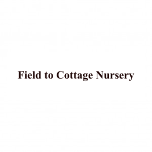 Field to Cottage Nursery