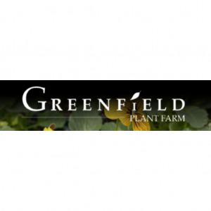 Greenfield Plant Farm