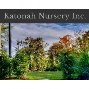 Katonah Nursery Inc.
