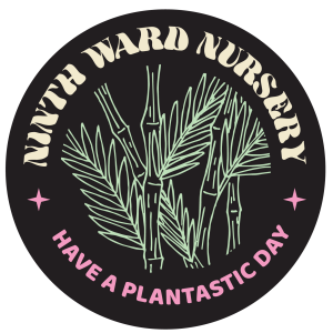 Ninth Ward Nursery