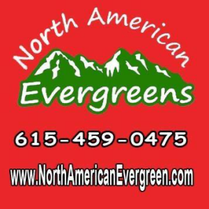 North American Evergreens