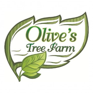 Olive_s Tree Farm