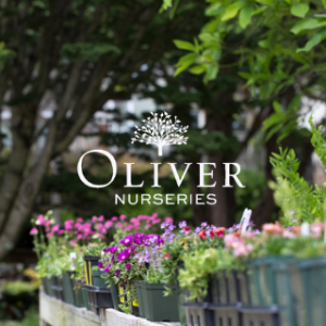 Oliver Nurseries