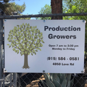 Production Growers