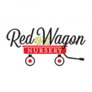 Red Wagon Nursery