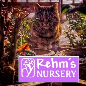 Rehm_s Nursery and Garden Center