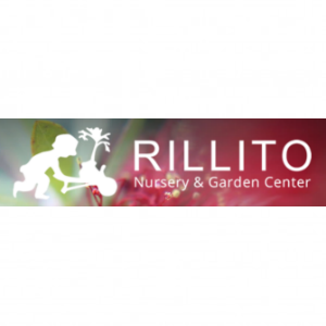 Rillito Nursery _ Garden Center