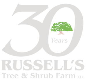 Russell_s Tree and Shrub Farm