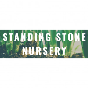 Standing Stone Nursery